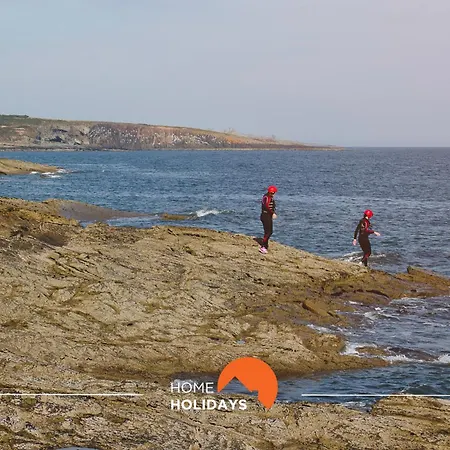 #275 Only Families - A Flor By Holidays Daire